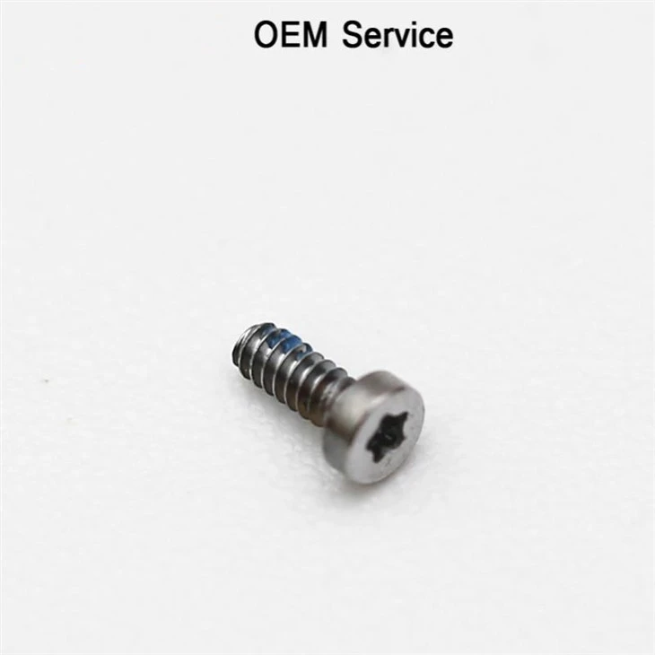 Mini Torx Stainless Steel Screw