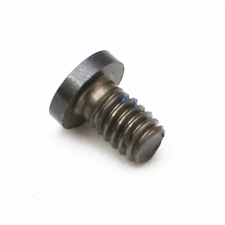 Stainless Steel Torx Head Black Small Screw