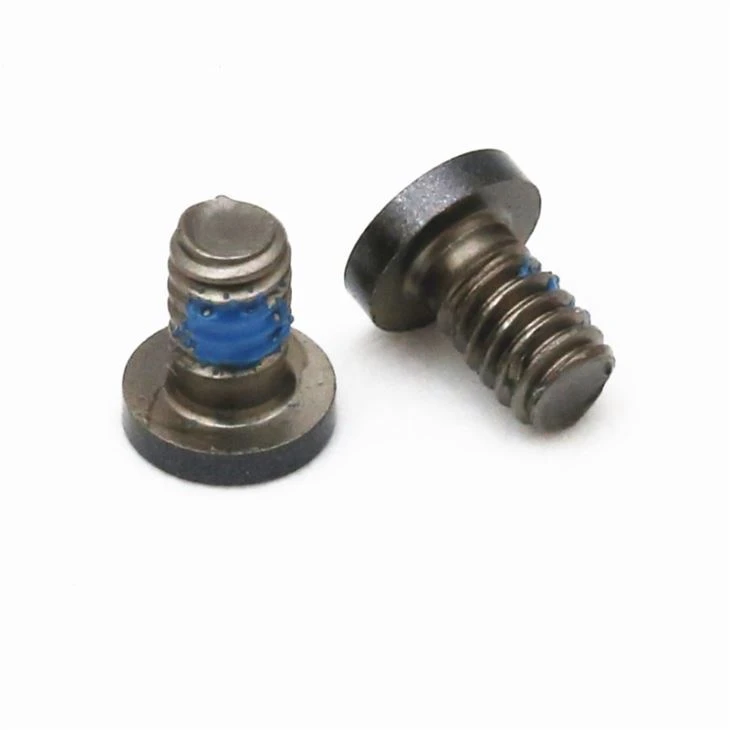 Stainless Steel Torx Head Black Small Screw